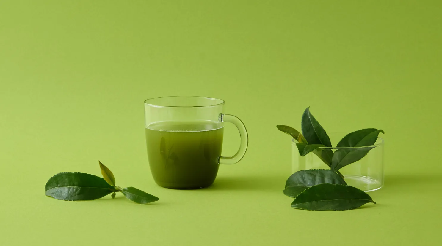 CONCEPT – Teaflex 公式サイト